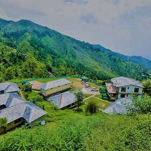 Superior Double or Twin Room Mountain View